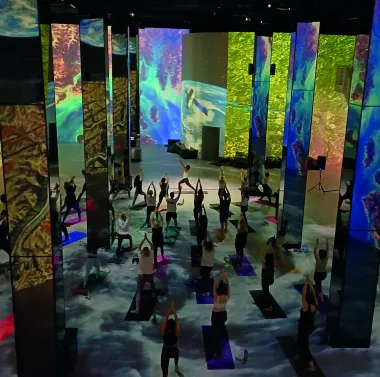 Immersives Yoga