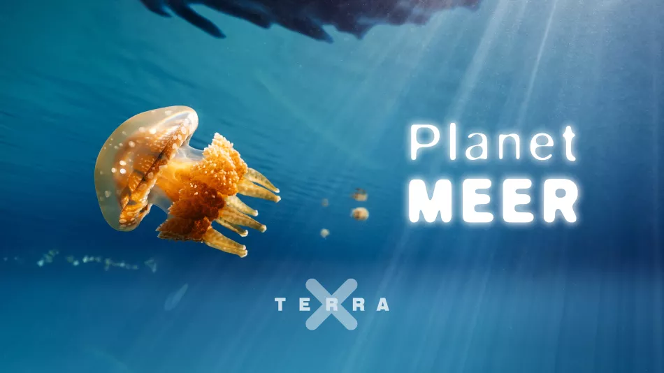 Terra X: Planet Meer