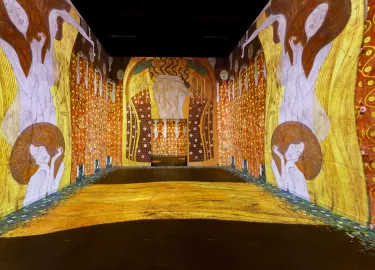 elements['#paragraph'].field_image.alt