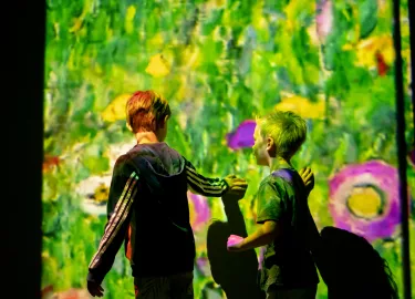 elements['#paragraph'].field_image.alt