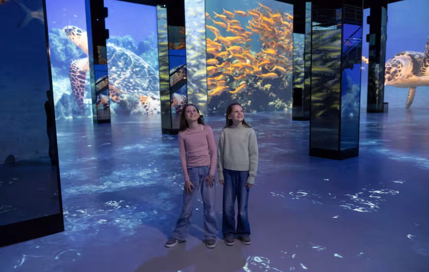 ocean fishs children
