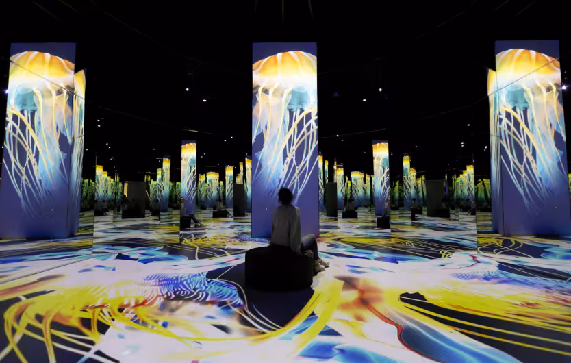 ocean jellyfish projection