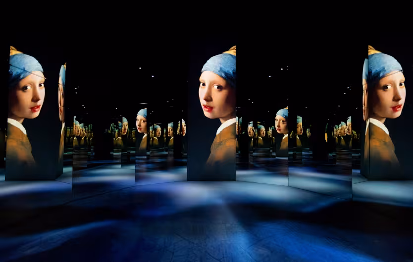 vermeer infinity room