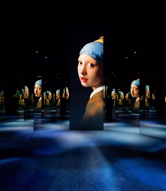 vermeer infinity room port 2