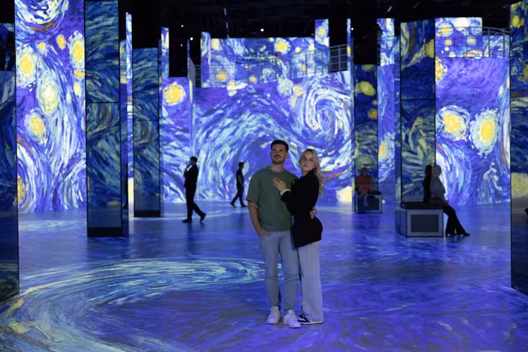 vangogh starry night
