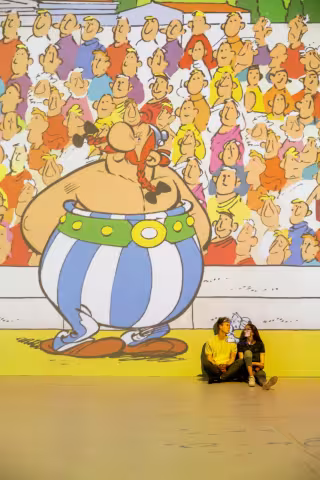 obelix projection