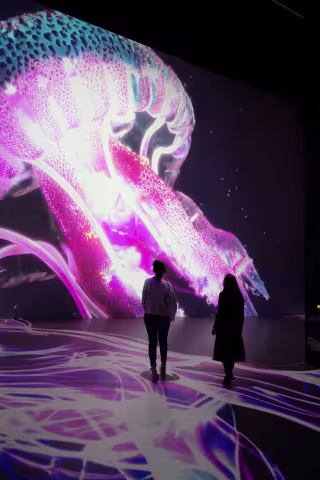 ocean purple jellyfish