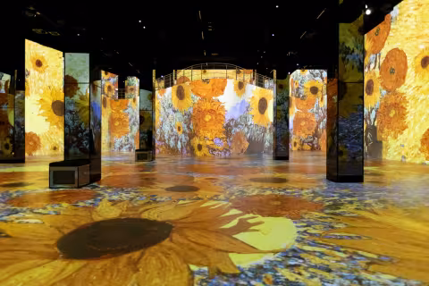 vangogh sunflowers